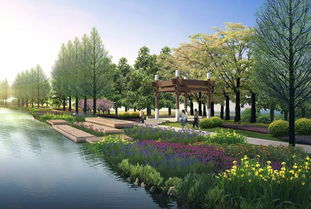 汉浦塘人工湿地 氧化塘景观设计